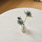 260223_myownsky_熊本_room_0342