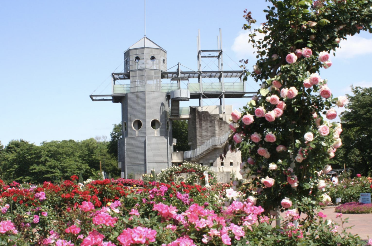 公園
